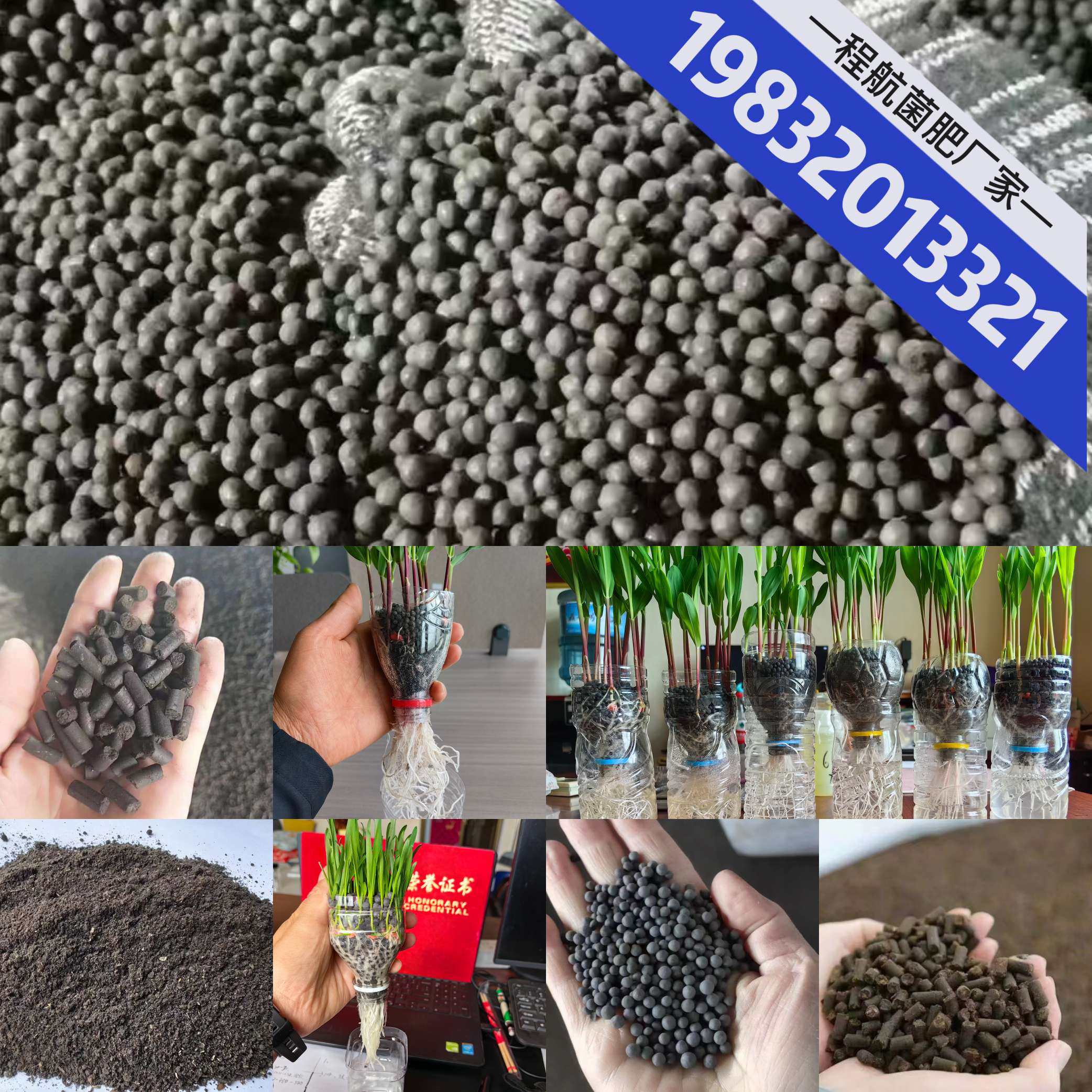 http://st-static1.imgooh.com/forums/2025/06/25/17508210784306.jpeg