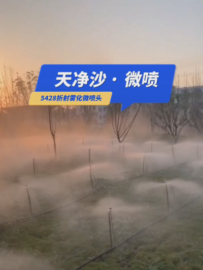 【天净沙&middot;微喷】枯藤老树昏鸦，草地仙境人家，地插微喷雾化，夕阳西下，灌溉，你问，我答！#5428折射雾化微喷头 #微喷 #华维集团