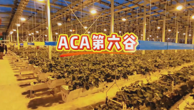 #ACA第六谷 模式，打造#ACA作物工厂，规划建园到栽培种植水肥管理一站式服务！#可控农业 #华维集团
