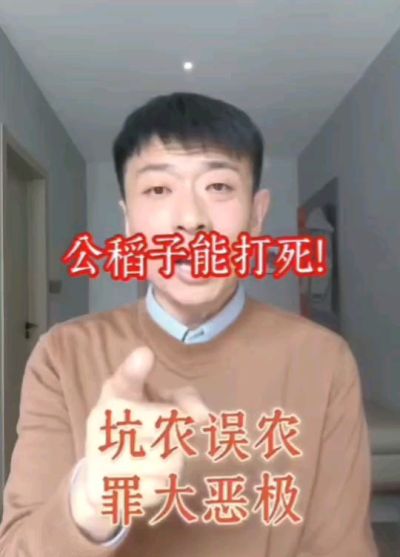 公稻子可以打死？纯属误农！