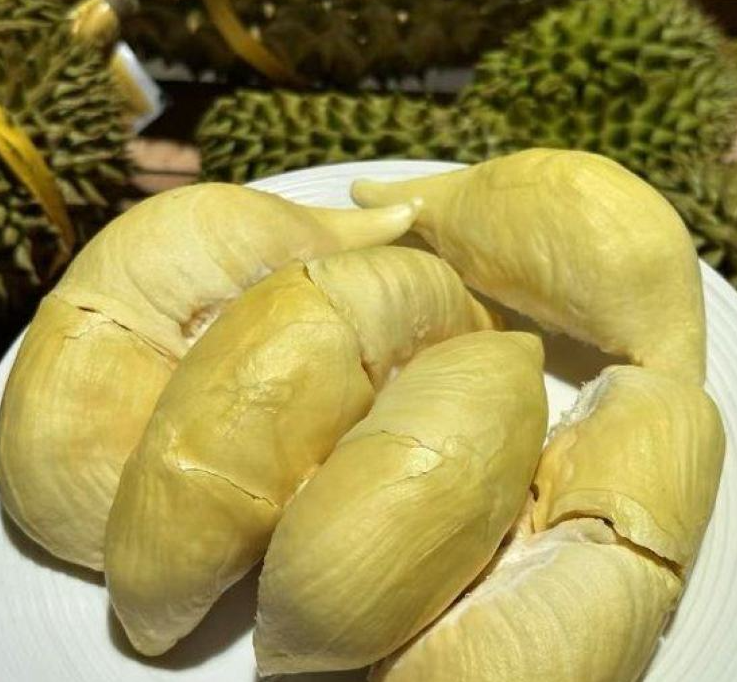 泰国甲仑榴莲
浓香满口，丝滑如奶油
甜甜糯糯，榴莲味浓郁
谁让它是泰国榴莲界的元