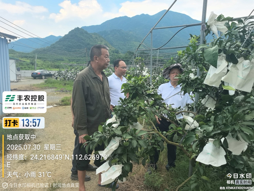 邓老师带队考察开发泰国红宝石基地。