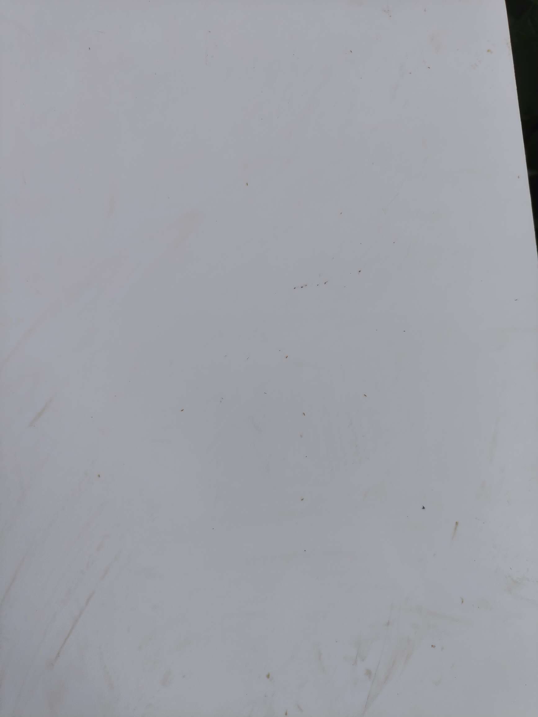 http://st-static1.imgooh.com/forums/2025/08/18/17555288245629.jpeg