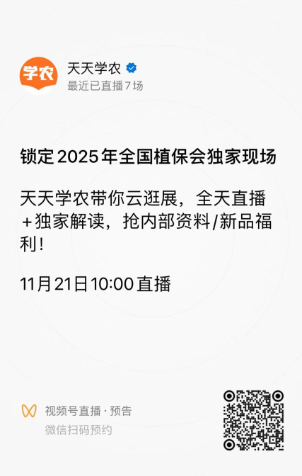 http://st-static1.imgooh.com/forums/2025/11/18/17634292668744.png