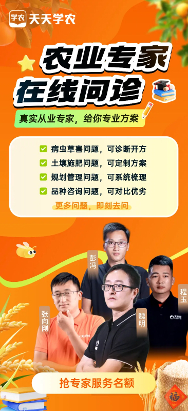 http://st-static1.imgooh.com/forums/2025/12/04/17648349249599.png