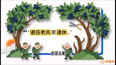 第7节：修剪决定产量（下）&mdash;&mdash;结果树的更新与疏果，课程：《蓝莓&ldquo;高产&rdquo;实战课：从选苗到丰收的10个关键点》