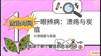 第三节：细菌与真菌&mdash;&mdash;溃疡病与炭疽病，课程：《柑橘十大病虫害：从入门到精通》