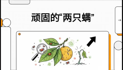 第二节：顽固&ldquo;两只满&rdquo;&mdash;&mdash;红蜘蛛与锈壁虱,课程：《柑橘十大病虫害：从入门到精通》
