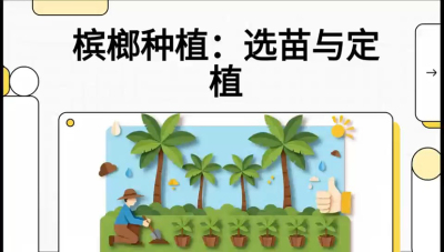 第01节：选苗与定植&mdash;&mdash;&ldquo;苗好一半收，底肥定千秋&rdquo;课程：《槟榔种植：从不懂到精通的10堂必修课》