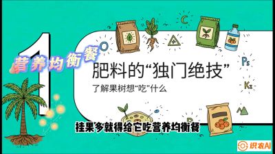 第07节：科学施肥&mdash;&mdash;&ldquo;氮磷钾配好，树壮果不倒