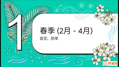 第10节：周年农事日历&mdash;&mdash;&ldquo;跟着节气走，丰产在手头&rdquo;《槟榔种植：从不懂到精通的10堂必修课》