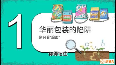 第4节：【黄金配方】底肥里的&ldquo;铁三角&rdquo;与&ldquo;微量雷区&rdquo;课程：《柑橘底肥&ldquo;翻身账&rdquo;：从改土到高产的实战全书》