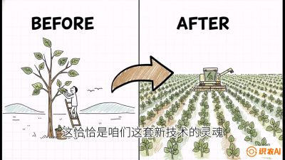 第02节：把树变成草&mdash;&mdash;&ldquo;草本化密植&rdquo;技术，课程：《桑海淘金：桑树高产与蚕桑安全进阶实战课》