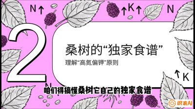 第04节：地下核动力&mdash;&mdash;桑树专用水肥一体化配方，课程：《桑海淘金：桑树高产与蚕桑安全进阶实战课》