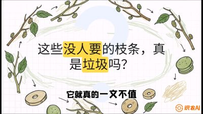 第12节：变废为宝&mdash;&mdash;循环农业实操，课程：《桑海淘金：桑树高产与蚕桑安全进阶实战课》