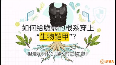 第三节：国产榴莲突围战：根系堡垒，菌根微生态构建与黄金定植窗口，课程：《国产榴莲突围战：从泰国经验到中国实操的8堂必修课（高阶实战版）》
