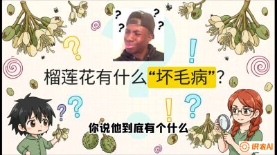 第六节：榴莲的午夜战事，夜间授粉战与花果期避雨策略，课程：《国产榴莲突围战：从泰国经验到中国实操的8堂必修课（高阶实战版）》