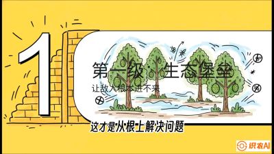 第七节：榴莲防御战：病虫害三级立体防控，疫霉菌与虫害的立体封锁线，课程：《国产榴莲突围战：从泰国经验到中国实操的8堂必修课（高阶实战版）》