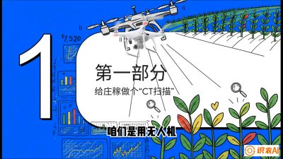 第5节：无人机也能&ldquo;看病抓药&rdquo;&mdash;&mdash;处方图与变量施肥入门，课程：《无人机植保搞钱必修课：从&ldquo;瞎飞&rdquo;到&ldquo;懂行&rdquo;的6步进阶》