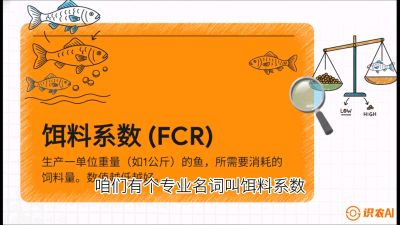 第五节：【高端单品&middot;鳜鱼】&ldquo;饲料鳜&rdquo;技术：打破吃活饵的高成本魔咒，课程：《黄金鳞甲：2025中国淡水鱼高效养殖实战营》