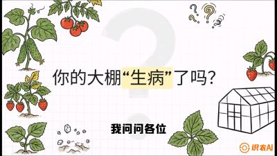 第2节（解毒篇）： 大棚里的&ldquo;红白绿&rdquo;警报&mdash;&mdash;读懂土壤盐渍化的求救信号，课程：《揭秘土壤的秘密：让土地帮你赚钱》#识农AI