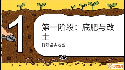 第6节（统筹篇）： 省钱又增产的&ldquo;黄金配比&rdquo;&mdash;&mdash;不同作物全年的养土实操方案，课程：《揭秘土壤的秘密：让土地帮你赚钱》#识农AI