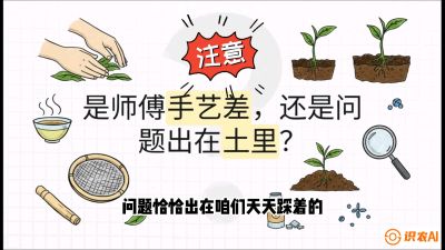 第02节（土肥篇）：告别&ldquo;苦涩水味&rdquo;：揭秘&ldquo;碳氮比&rdquo;调控术，种出自带兰花香的好茶底，课程：《茶金时代：从&ldquo;看天吃饭&rdquo;到&ldquo;精准控局&rdquo;的茶叶高产提质实战课》