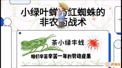 第03节（虫害篇）：看不见的吸血鬼：小绿叶蝉与红蜘蛛的&ldquo;非农药&rdquo;团灭战术（抗性治理），课程：《茶金时代：从&ldquo;看天吃饭&rdquo;到&ldquo;精准控局&rdquo;的茶叶高产提质实战课》