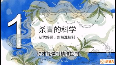 第05节（加工篇）：决胜2分钟：用&ldquo;数字温控&rdquo;破解杀青不匀，复刻大师级手工口感，课程：《茶金时代：从&ldquo;看天吃饭&rdquo;到&ldquo;精准控局&rdquo;的茶叶高产提质实战课》