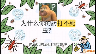 第4节：【虫害歼灭战】打不死的蓟马、隐形的茶黄螨：抗性时代的&ldquo;混配绝杀&rdquo;，课程：《辣椒种植实战特训营，从工业辣椒到精品小米辣，教你如何把&ldquo;草&rdquo;种成&ldquo;金&rdquo;》