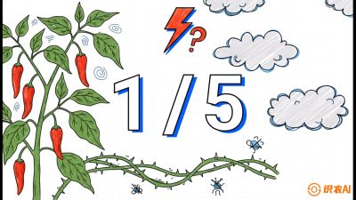 第6节：【花果爆发术】落花落果的五大元凶，与&ldquo;三喷一保&rdquo;坐果黑科技，课程：《辣椒种植实战特训营，从工业辣椒到精品小米辣，教你如何把&ldquo;草&rdquo;种成&ldquo;金&rdquo;》