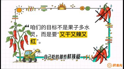 第7节：【工业辣椒专场】追求极致辣度！干物质提升与机械化采收的&ldquo;催红秘籍&rdquo;，课程：《辣椒种植实战特训营，从工业辣椒到精品小米辣，教你如何把&ldquo;草&rdquo;种成&ldquo;金&rdquo;》
