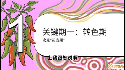 第8节：【小米辣线椒专场】颜值即正义！防花皮、防炭疽，打造收购商抢着要的&ldquo;精品果&rdquo;，课程：《辣椒种植实战特训营，从工业辣椒到精品小米辣，教你如何把&ldquo;草&rdquo;种成&ldquo;金&rdquo;》