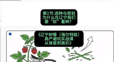 第一节： 选种与规划&mdash;&mdash;为什么在辽宁我们要&ldquo;砍&rdquo;着种？，课程：《辽宁树莓（海尔特兹）高产避坑实战课：从保苗到高价》