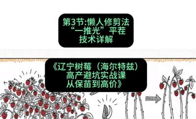 第三节： 懒人修剪法&mdash;&mdash;&ldquo;一推光&rdquo;平茬技术详解，课程：《辽宁树莓（海尔特兹）高产避坑实战课：从保苗到高价》