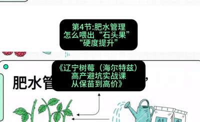 第四节： 肥水管理&mdash;&mdash;怎么喂出&ldquo;石头果&rdquo;（硬度提升），课程：《辽宁树莓（海尔特兹）高产避坑实战课：从保苗到高价》