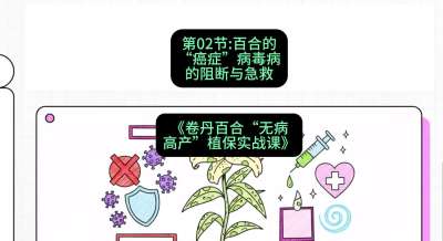 第02节：百合的&ldquo;癌症&rdquo;&mdash;&mdash;病毒病的阻断与急救，课程：《卷丹百合&ldquo;无病高产&rdquo;植保实战课》#识农AI