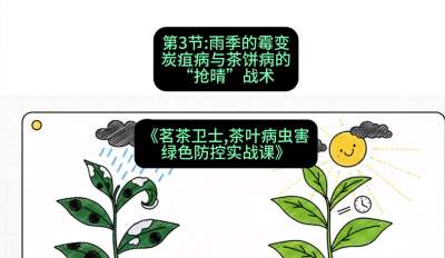 第03节：雨季的霉变&mdash;&mdash;炭疽病与茶饼病的&ldquo;抢晴&rdquo;战术，课程：《茗茶卫士&mdash;&mdash;茶叶病虫害绿色防控实战课》#识农AI
