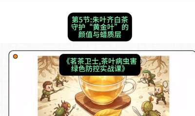 第05节：朱叶齐白茶&mdash;&mdash;守护&ldquo;黄金叶&rdquo;的颜值与蜡质层（重点），课程：《茗茶卫士&mdash;&mdash;茶叶病虫害绿色防控实战课》#识农AI