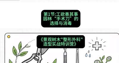 第01节：工欲善其事&mdash;&mdash;园林&ldquo;手术刀&rdquo;的选择与消毒，课程：《景观树木&ldquo;整形外科&rdquo;造型实战特训营》#识农AI