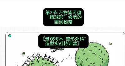 第02节：万物皆可盘&mdash;&mdash;&ldquo;精球形&rdquo;修剪的圆润秘籍，课程：《景观树木&ldquo;整形外科&rdquo;造型实战特训营》#识农AI