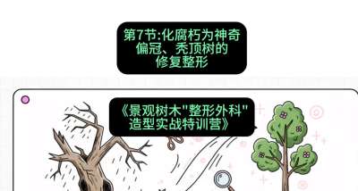 第07节：化腐朽为神奇&mdash;&mdash;偏冠、秃顶树的修复整形，课程：《景观树木&ldquo;整形外科&rdquo;造型实战特训营》#识农AI