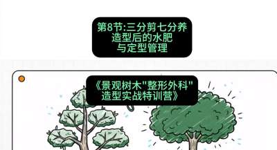 第08节：三分剪七分养&mdash;&mdash;造型后的水肥与定型管理，课程：《景观树木&ldquo;整形外科&rdquo;造型实战特训营》#识农AI
