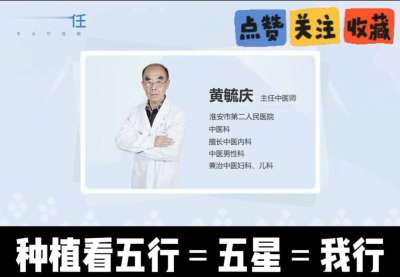 中药材淫羊藿怎么种？听专家一次讲明白！不挑地块好管理，耐寒耐旱省心省力，新手也能轻松上手，药用价值高、市场需求稳，妥妥的增收好品种～ 从生长习性到采收要点，干货满满无废话，种植疑问直接问，一对一答疑解