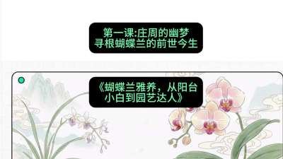 第一节：庄周的幽梦：寻根蝴蝶兰的前世今生，课程：《蝴蝶兰雅养六讲：从阳台小白到园艺达人》#识农AI