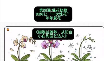 第四节：催花秘籍：如何让&ldquo;一次性花&rdquo;年年复花，课程：《蝴蝶兰雅养六讲：从阳台小白到园艺达人》#识农AI