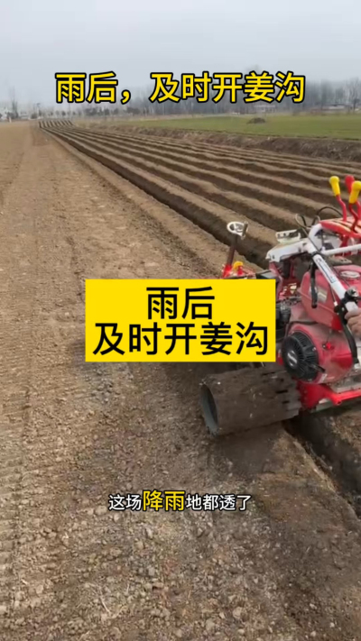 雨后，及时开姜沟！