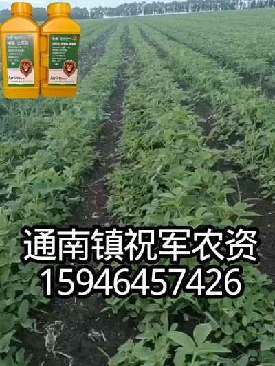 大豆苗前封闭，可封红根苋菜，灰菜，兰花菜，野豆子，捞豆秧等恶性杂草，封杀兼备的高端产品。