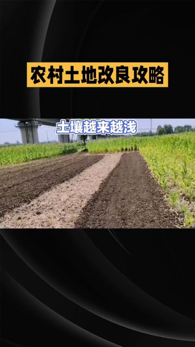 1. 先搞懂：你到底要改良哪块地、种什么
 
- 土土土在哪里？
就是你自家农田、菜地、果园，哪块地想种庄稼，就测哪块地的土。
​
- 有水没有水？
有水能浇：改良更省事，施肥、调酸碱都好操作。
没水