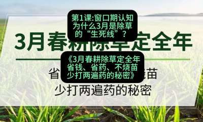 第1节：窗口期认知，为什么3月是除草的&ldquo;生死线&rdquo;？，课程：《3月春耕除草定全年：省钱、省药、不烧苗、少打两遍药的秘密》